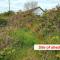 Image of shed land