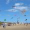 Kites