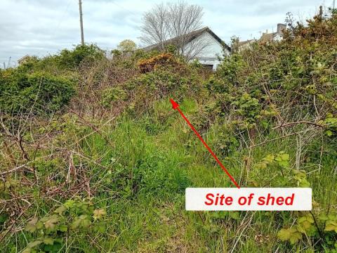 Image of shed land