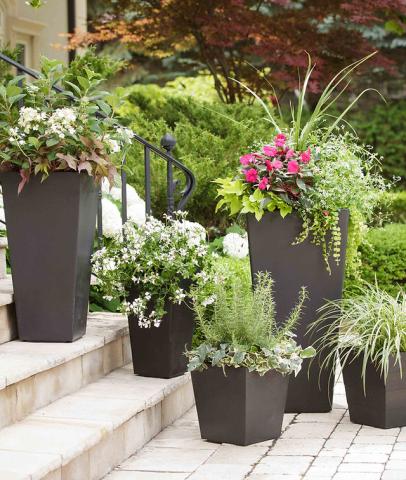 planter