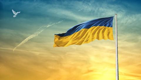 Ukrainian flag