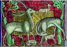 Deer CREDIT:Bodleian Library