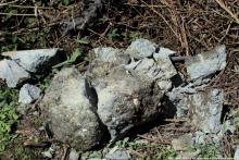 Photo of broken fence-post concrete